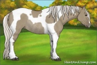 Horse Color:Silver Smoky Grullo Tobiano Rabicano 