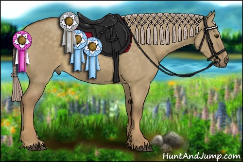 Horse Color:Chocolate Palomino Dun 