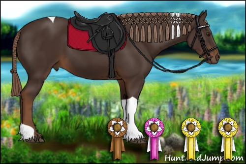 Horse Color:Liver Chestnut Sabino Tobiano 