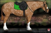 Horse Color:Chestnut Ice 