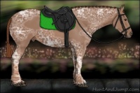 Horse Color:Chestnut Ice 