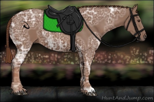 Horse Color:Chestnut Ice 