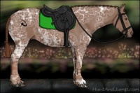 Horse Color:Chestnut Ice 