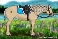 Horse Color:Palomino Dun