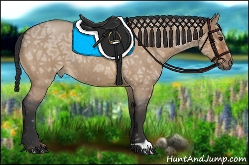 Horse Color:Bay Ice Roan Dun 