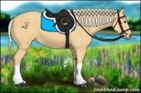 Horse Color:Palomino 