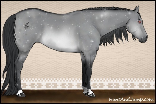 Horse Color:Brown Chinchilla Dun 