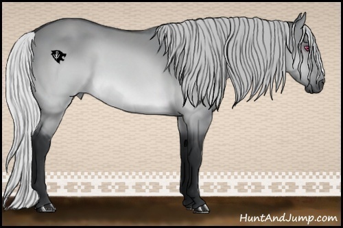 Horse Color:Silver Brown Chinchilla Dun 