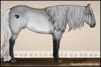 Horse Color:Silver Brown Chinchilla Dun 
