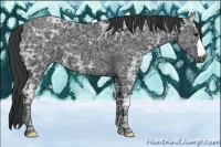 Horse Color:Black Ice 