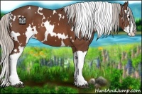 Horse Color:White Spotted Silver Brown Splash 