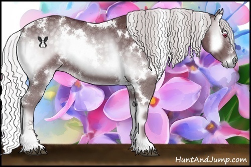 Horse Color:White Spotted Chocolate Silver Blue Onyx Chinchilla 