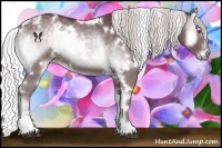 Horse Color:White Spotted Chocolate Silver Blue Onyx Chinchilla