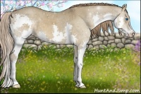 Horse Color:Liver Red Dun Splash