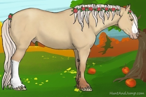 Horse Color:Silver Classic Champagne Dun 