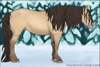 Horse Color:Sable Champagne Dun