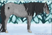 Horse Color:Classic Champagne Chinchilla 