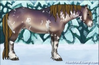 Horse Color:Painted White Spotted Bay Onyx