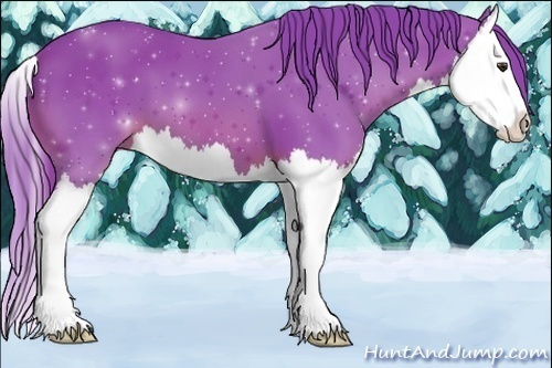 Horse Color:Watercolor Chestnut Splash