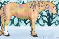 Horse Color:Nacre Watercolor Chestnut