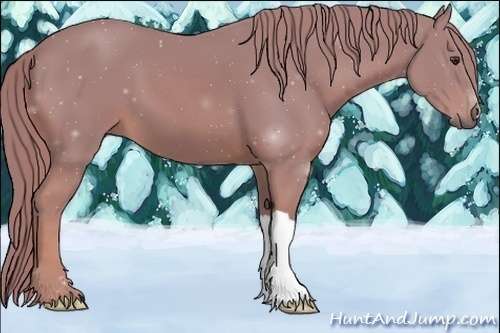 Horse Color:Watercolor Chestnut 