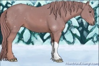 Horse Color:Watercolor Chestnut 