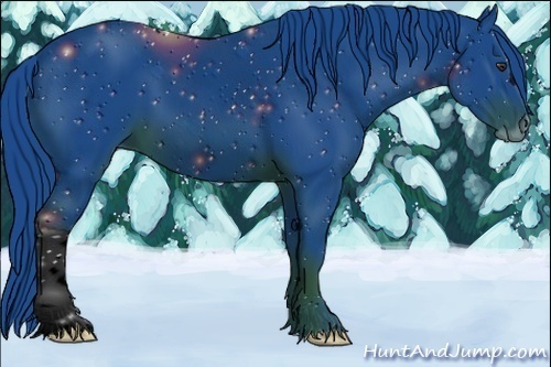 Horse Color:ERROR: UNKNOWN ANOMALY