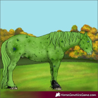 Horse Color:ERROR: UNKNOWN ANOMALY