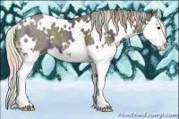 Horse Color:Nacre White Spotted Silver Black Splash