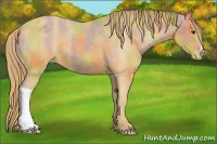 Horse Color:Nacre Chestnut Varnish