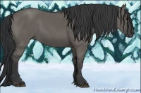 Horse Color:Grullo 