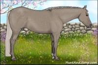 Horse Color:Silver Grullo 