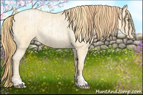 Horse Color:Buckskin Roan Pearl  and Buckskin Roan Pearl 