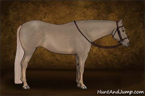 Horse Color:Chocolate Palomino Roan 