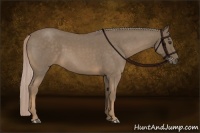Horse Color:Chocolate Palomino Roan