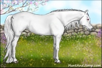 Horse Color:Liver Chestnut Chinchilla 