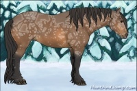 Horse Color:Buckskin Ice 