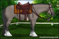 Horse Color:Grullo 
