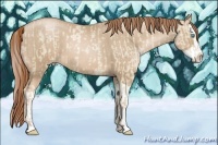 Horse Color:Buckskin Pearl Dun  and Smoky Black Pearl Splash 