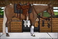 Horse Color:Silver Buckskin Tobiano 