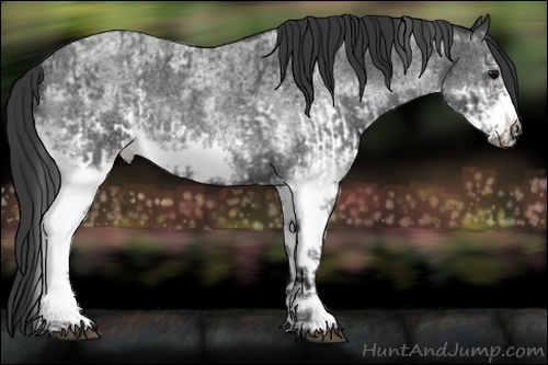 Horse Color:White Spotted Blue Roan Rabicano  and White Spotted Blue Roan Frame Rabicano 