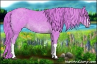 Horse Color:Watercolor Chestnut 