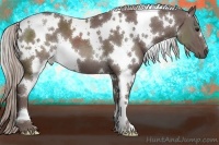Horse Color:White Spotted Chocolate Silver Black