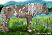 Horse Color:White Spotted Chocolate Silver Black