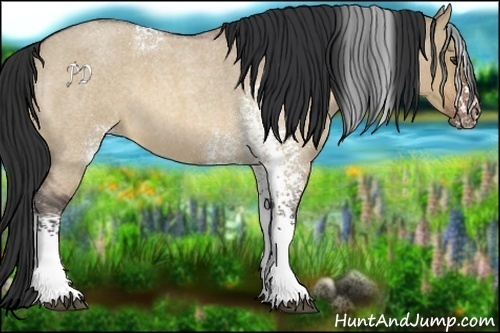 Horse Color:White Spotted Bay Roan Dun 