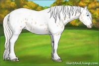 Horse Color:Silver Classic Champagne Roan Dun Splash Tobiano Frame Appaloosa Rabicano 