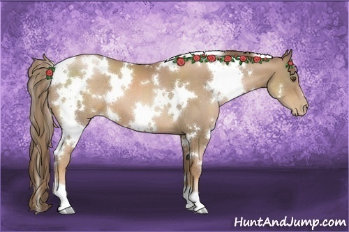 Horse Color:White Spotted Liver Chestnut Pearl 