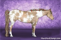 Horse Color:White Spotted Liver Chestnut Pearl 