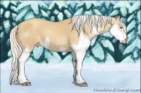 Horse Color:Silver Classic Champagne Splash Appaloosa 