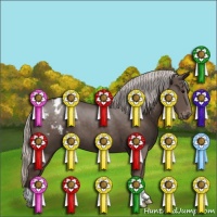 Horse Color:Silver Black Appaloosa 